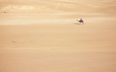 IN VIAGGIO NEL DESERTO di Caterina Civallero