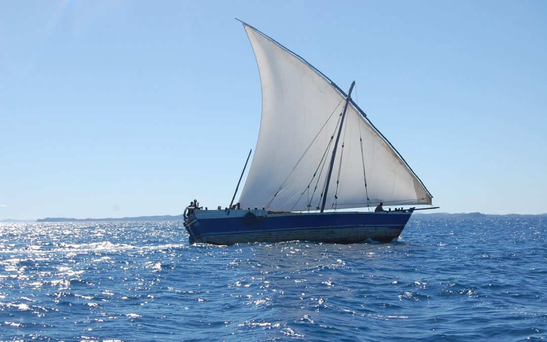 “È lei che cerca uno skipper?” | da MADAGASCAR- UN VIAGGIO PER LIBERARE DUE CUORI